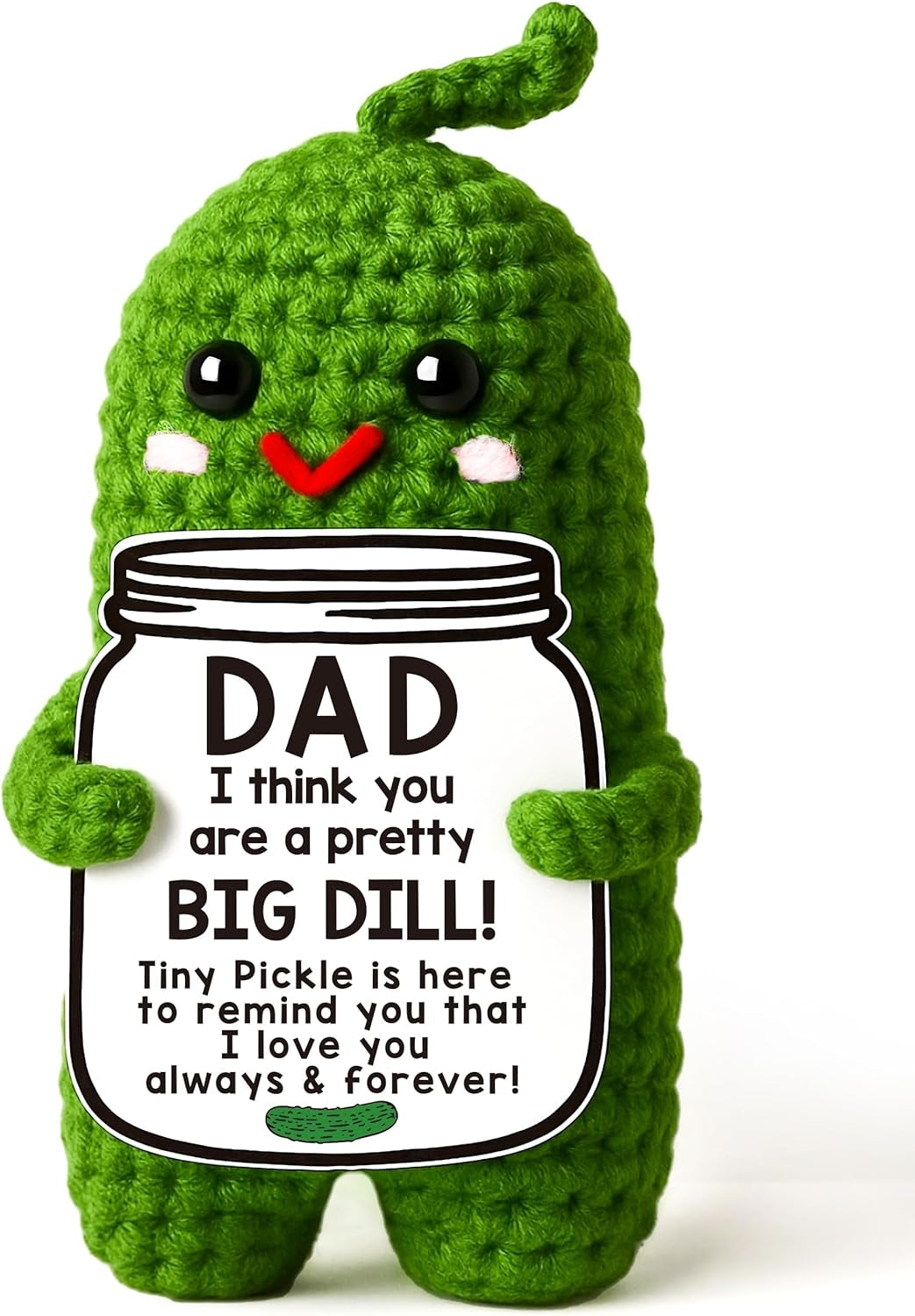 Cute Crochet Pickle Love Gift
